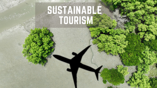 Sustainable Tourism