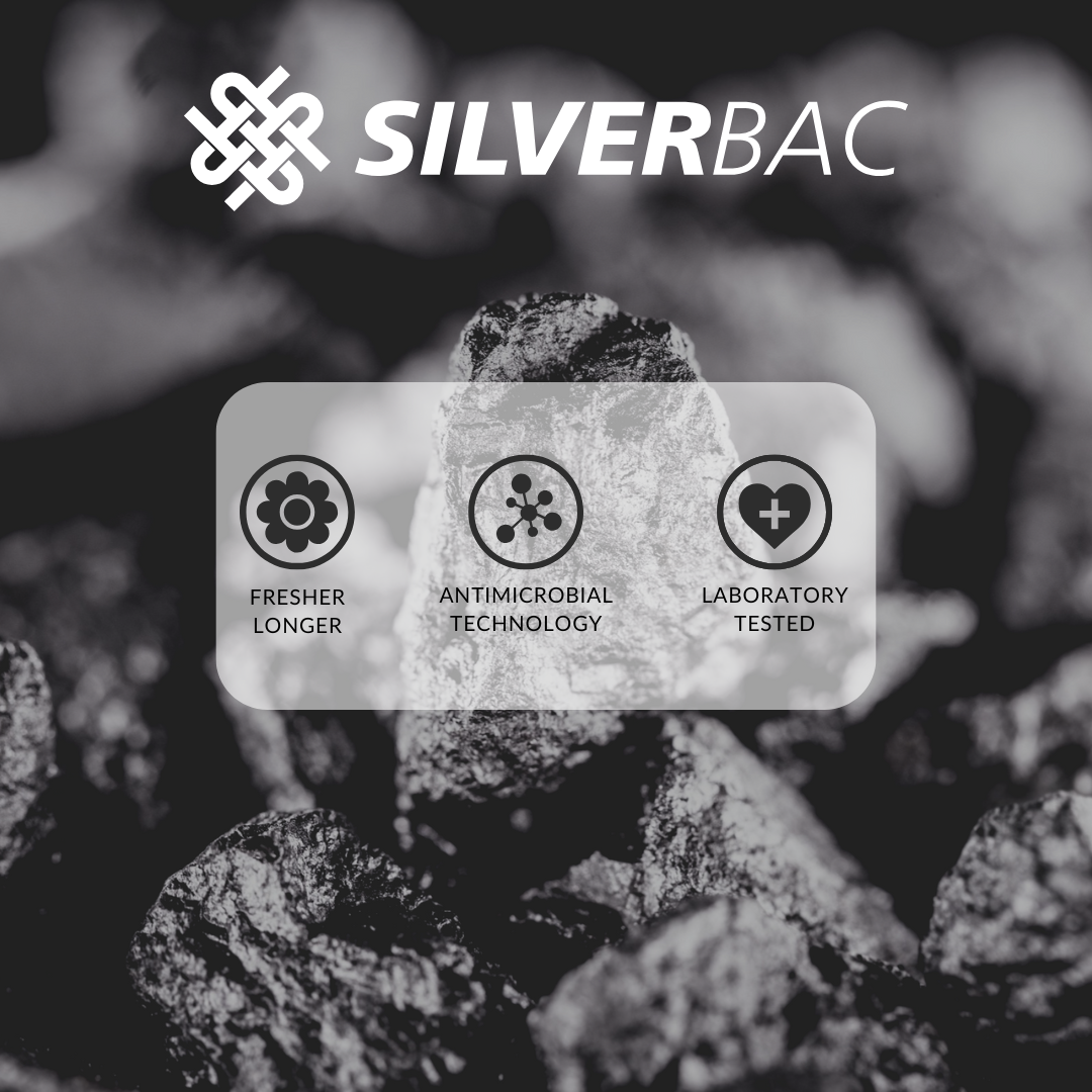 The Clean Essentials Pillow Protector