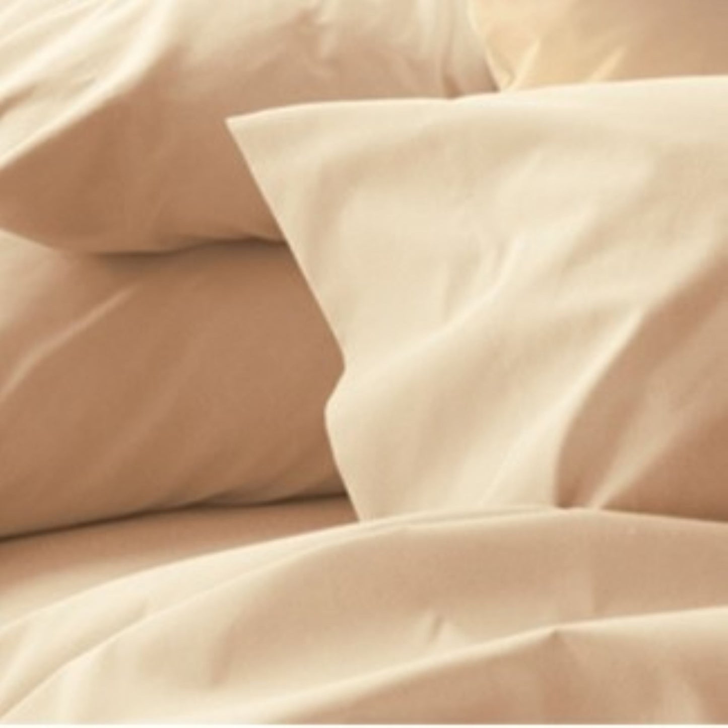 Millennium-Bone-Pillowcase.jpg