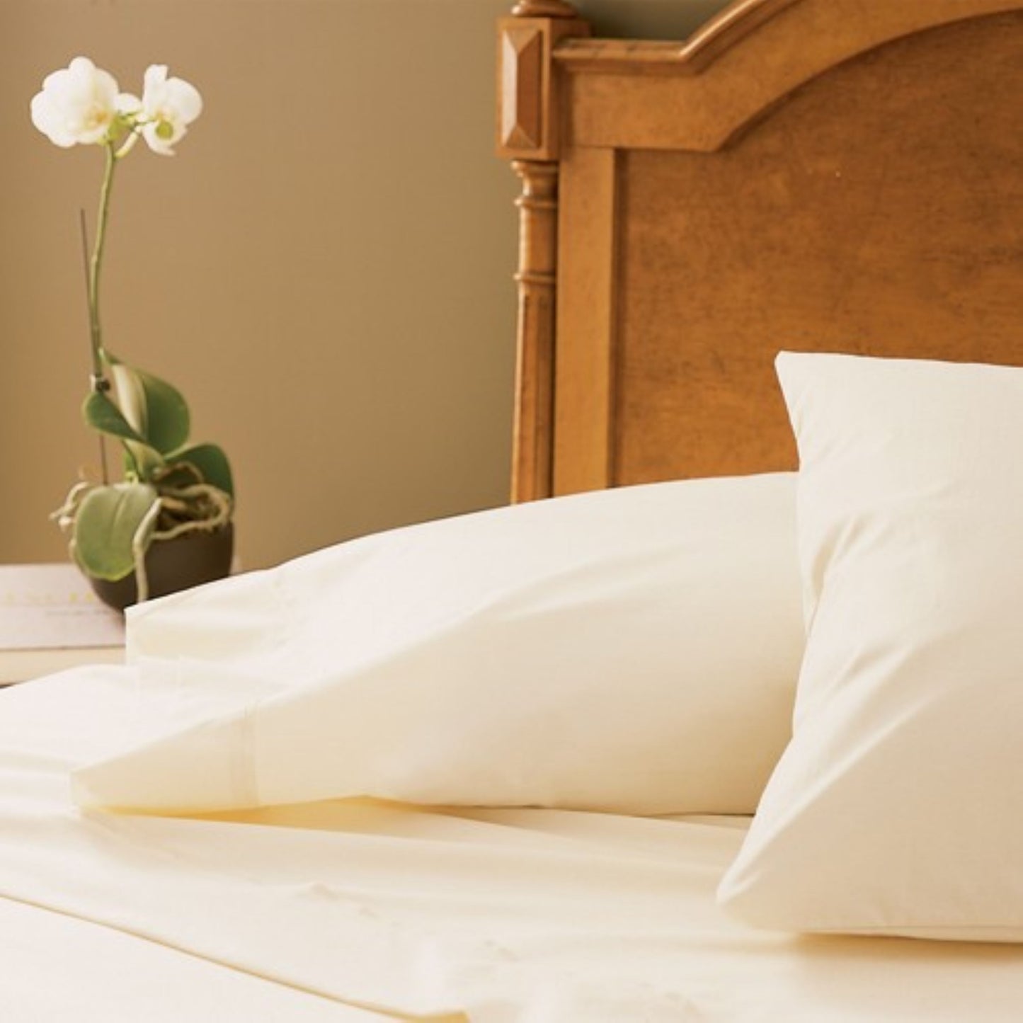 martex-millennium-sheets-bone-lifestyle-001-6-23-3000px.jpg