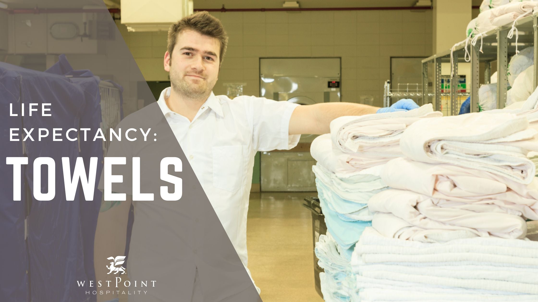 Life Expectancy: Towels