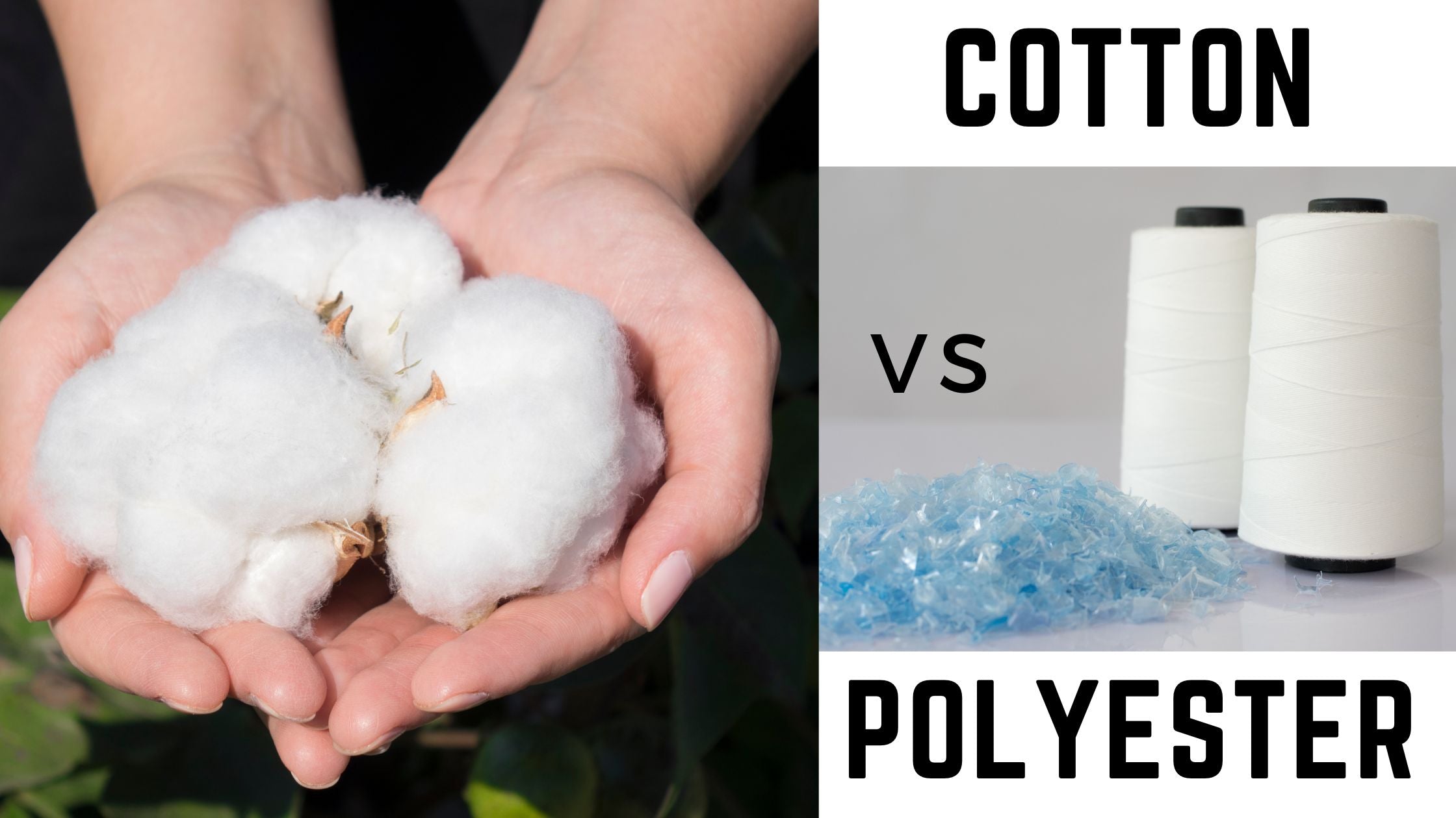 Cotton vs Polyester