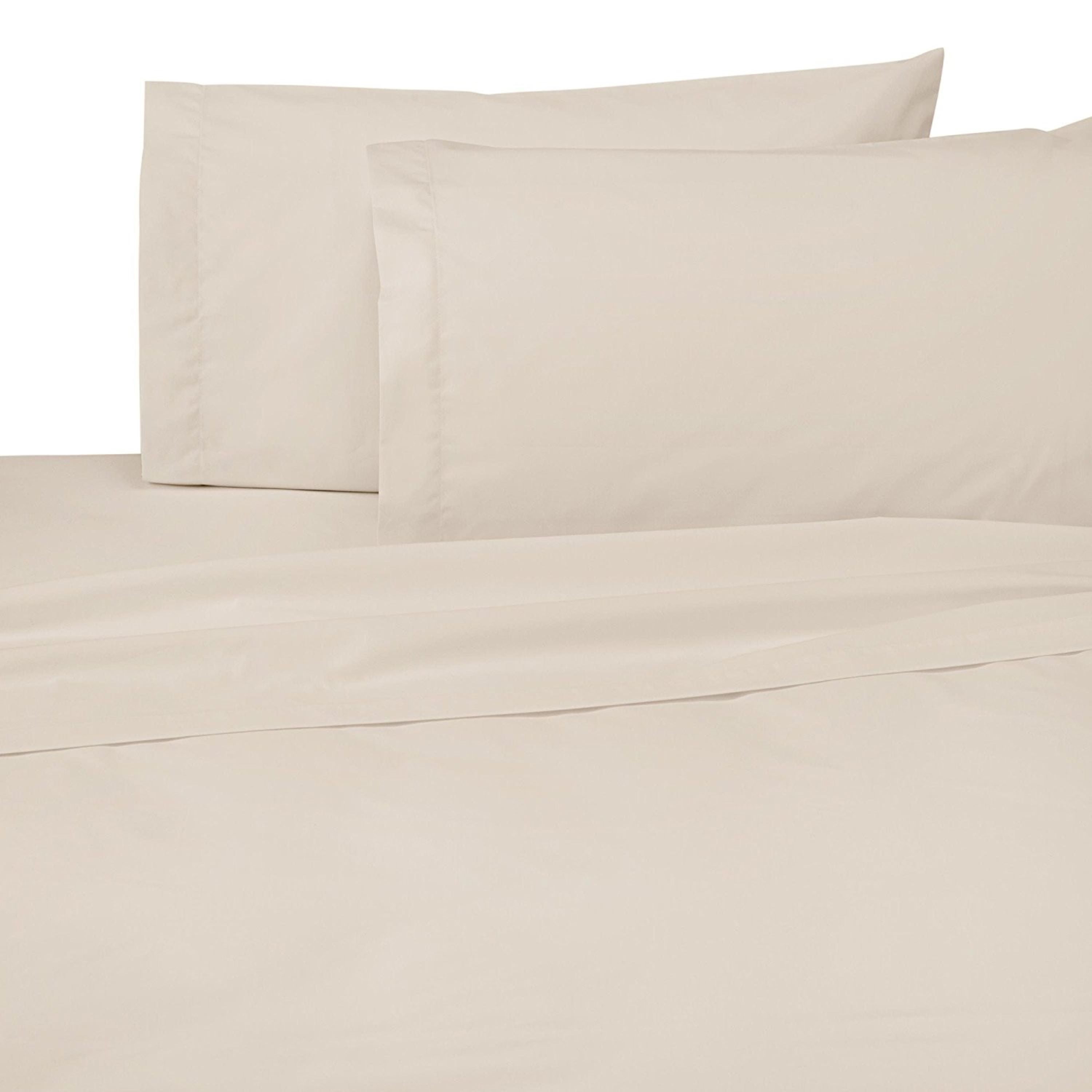 Bone-Bed-Shot-3000.jpg